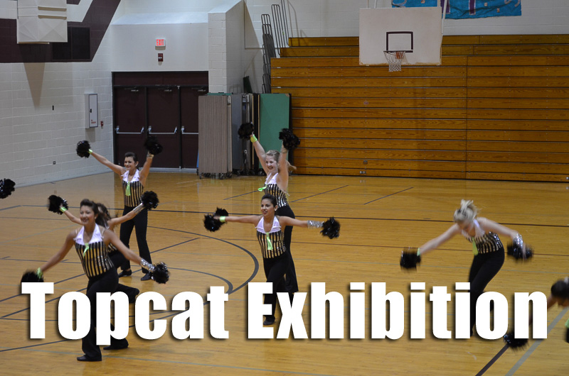 Topcat Exhibition